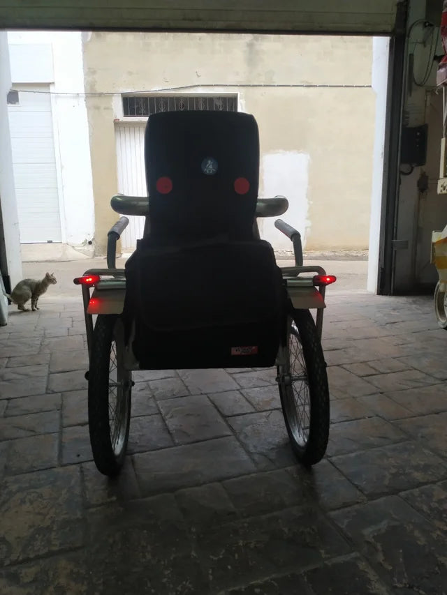 Remolques Bicicleta