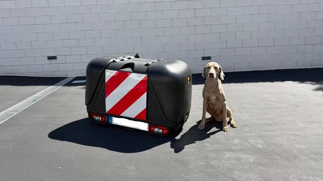 Remolque para Perros y La caza