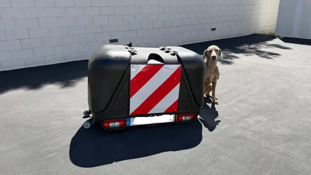 Remolque para Perros y La caza