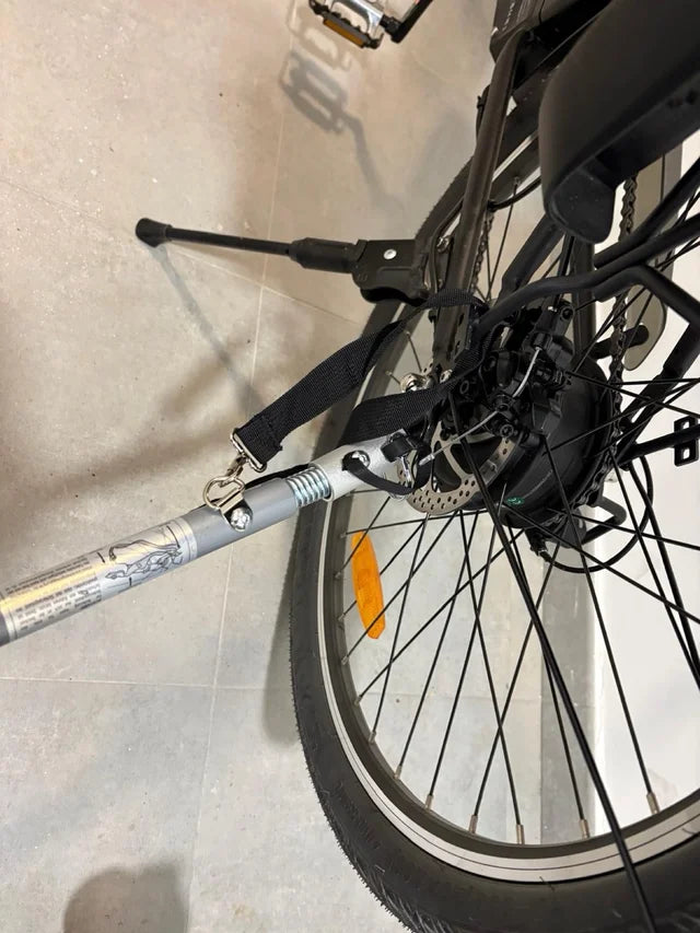 Remolques Bicicleta